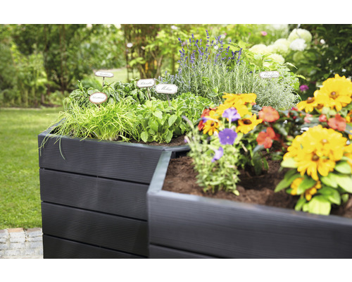 Hochbeet mit Kräutern und Blumen im Garten.