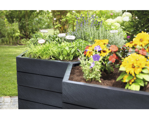 Hochbeet aus Holzverbundstoff mit Kräutern und Blumen