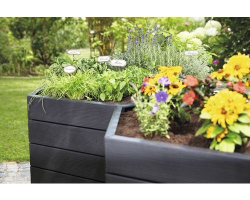 Hochbeet mit Kräutern und Blumen im Garten