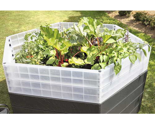 Hochbeet mit Gemüse und Pflanzen im Garten