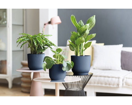 Dekorative Zimmerpflanzen in strukturierten Übertöpfen auf Beistelltischen in einem hellen Wohnraum.