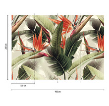 Fototapete mit Paradiesvogelblumen Motiv, 400 cm breit und 280 cm hoch