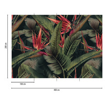 Fototapete mit Paradiesvogelblumen und Blättern, Abmessungen 400 cm x 280 cm