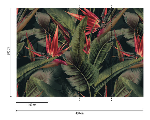 Fototapete mit Paradiesvogelblumen und Blättern, Abmessungen 400 cm x 280 cm