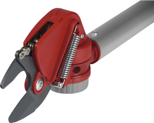 Astschere mit Schneidkopf und Teleskopstiel