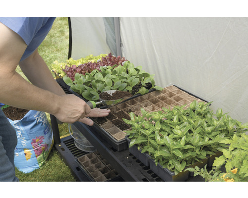 Person bepflanzt Anzuchtschalen auf einem Pflanztisch in einem Gewächshaus mit Erde.