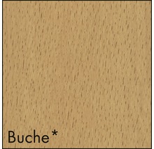 Buche Holzmuster
