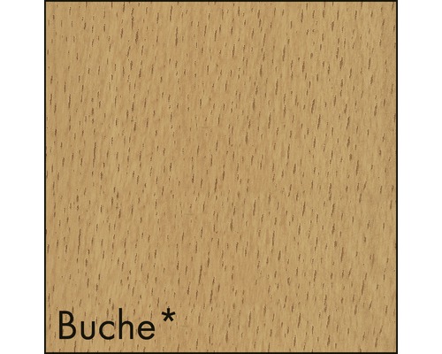 Buche Holzmuster