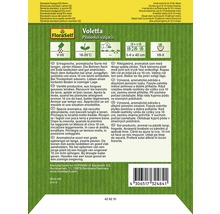 Samenpackung Voletta Phaseolus vulgaris