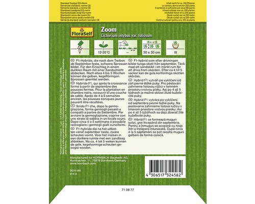 FloraSelf Zoom Zichorie Saatgutpackung