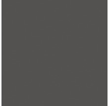 BONDEX Holzfarbe-Dauerschutzfarbe RAL 7016 anthrazit 750 ml