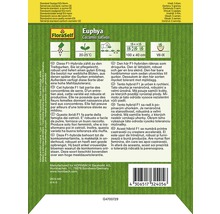 Verpackung von Euphyasamen der Sorte Cucumis sativus von FloraSelf