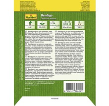 Bendigo Paprika Saatgutpackung