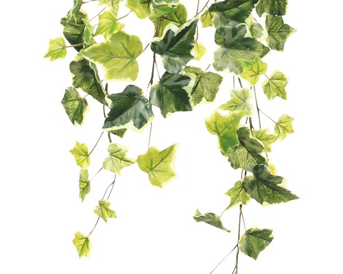 Künstlicher Efeu mit grünen Blättern als Dekoration