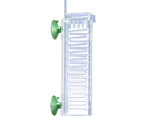 Aquarium-Aufzuchtbox mit Saugnäpfen zur Befestigung