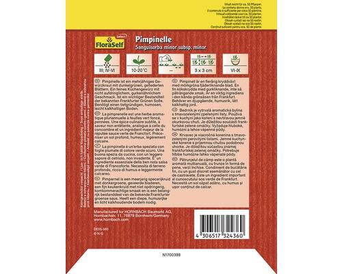 Pimpinelle Sanguisorba minor subsp. minor Pflanzeninformationen