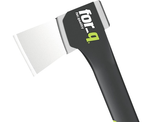 For-Q Logo Axt