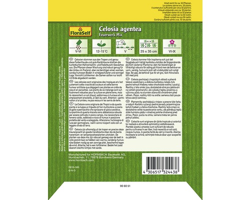 Samentüte Celosia argentea Feuerwerk Mix