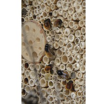Insektenhotel mit Spitzdach 19 x 9,5 x 22 cm braun-thumb-2
