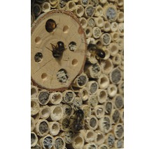 Insektenhotel mit Spitzdach 19 x 9,5 x 22 cm braun-thumb-4