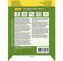 FloraSelf Breedblad Volhart Winter Endiviensamenpackung