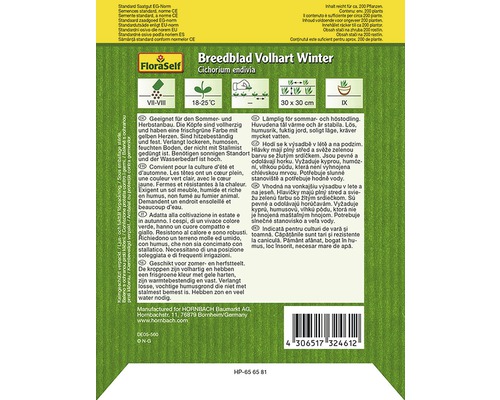 FloraSelf Breedblad Volhart Winter Endiviensamenpackung