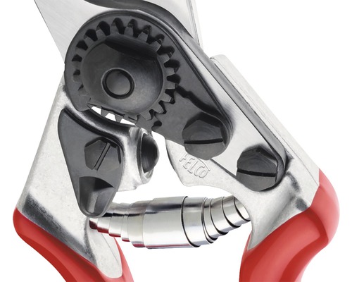 Detailaufnahme einer Gartenschere mit Zahnradmechanismus und Feder