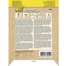 Bio Buschbohne FloraSelfBio samenfestes Saatgut Gemüsesamen