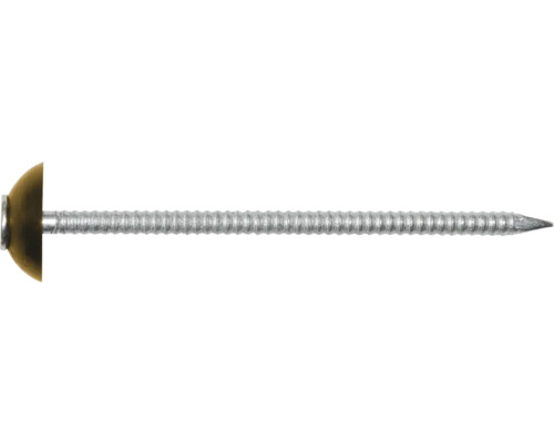 Ein einzelner Dachnagel mit Kopf