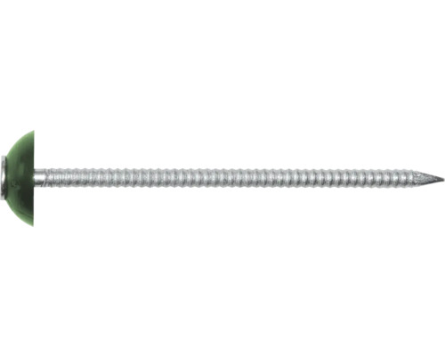 Ein einzelner Dachnagel mit Kopf