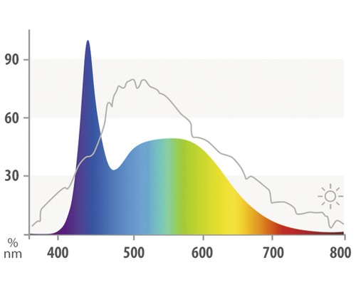Lichtspektrum Diagramm mit Wellenlängen in Nanometern