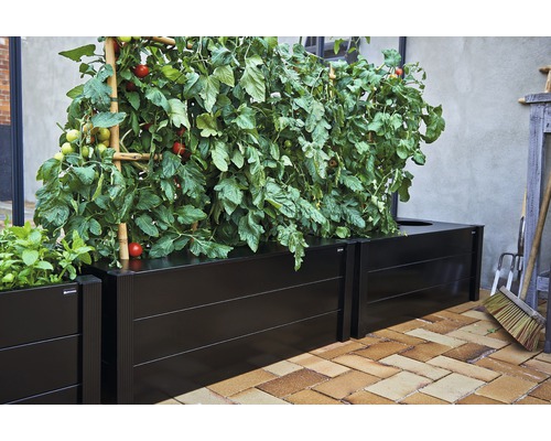 Beet mit Tomatenpflanzen und Rankhilfe im Außenbereich