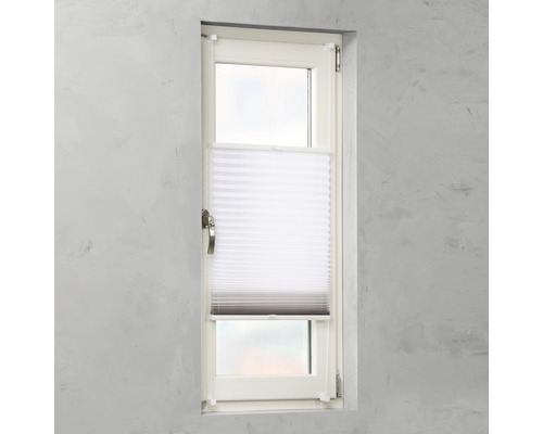 Fenster mit Faltstore für den Sichtschutz