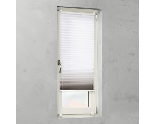 Plissee-Rollo im Fenster