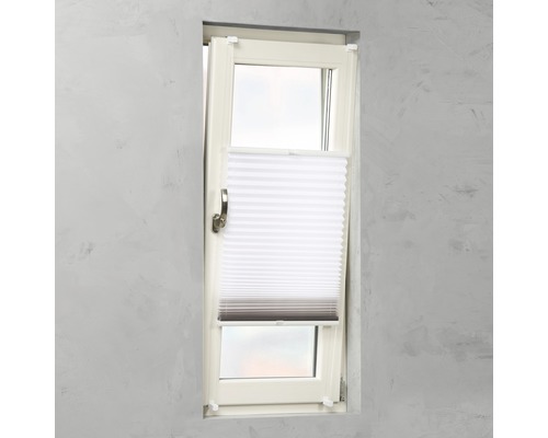 Plissee Rollo im Fenster zur Lichtregulierung und zum Sichtschutz