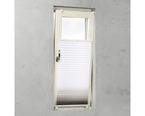 Plissee-Rollo am Fenster zur Lichtregulierung und als Sichtschutz
