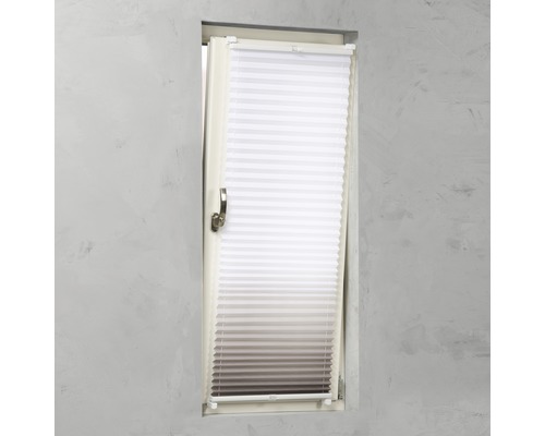 Fenster mit Plissee zum Sonnenschutz