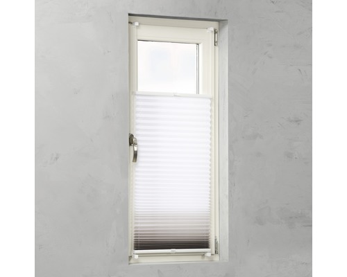 Fenster mit Plissee-Vorhang zur Lichtregulierung