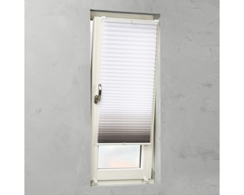 Fenster mit Plissee-Vorhang zur Beschattung