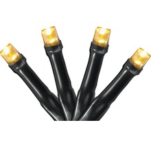 Lichterkette mit warmweißen LEDs und schwarzem Kabel