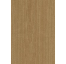 Holzstruktur einer Buchenholzplatte