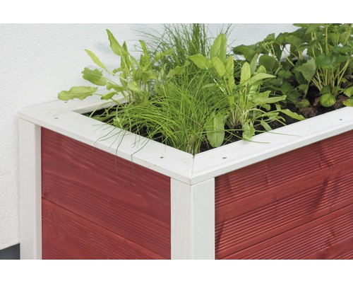 Hochbeet aus Holz mit verschiedenen Pflanzen