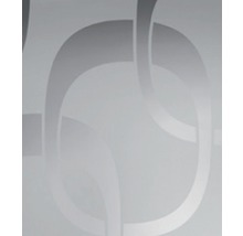 Pertura Glasschiebetürblatt Dallar Square 2043 x 920 x 8 mm rechts für Beschlag Tildra-thumb-4