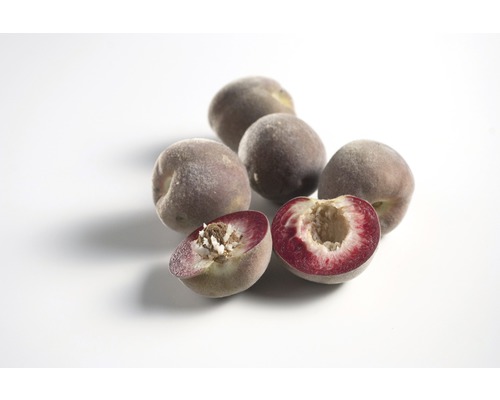 Mehrere Pfirsiche, davon zwei halbiert