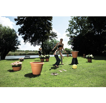 Szene im Garten mit spielenden Kindern, Blumen in Pflanzgefäßen und einer grünen Rasenfläche