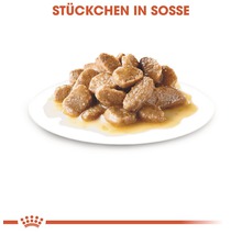 Katzenfutterstücke in Soße auf einem Teller