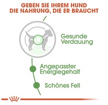 Information graphic about dog food benefits: Healthy digestion, adapted energy content, beautiful coat.