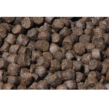 Nahaufnahme von Fischfutterpellets