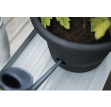 Detailaufnahme einer Pflanze in einem Topf mit Bewässerungssystem und Gießkanne