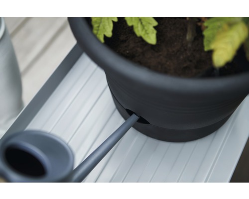 Detailaufnahme einer Pflanze in einem Topf mit Bewässerungssystem und Gießkanne